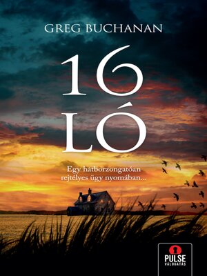 cover image of 16 ló